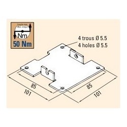 PLAQUE 100x100 IMBAC T5