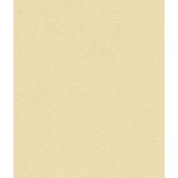 LAME FINALE POUR TABLIER ALU/PVC 52 x 8 mm