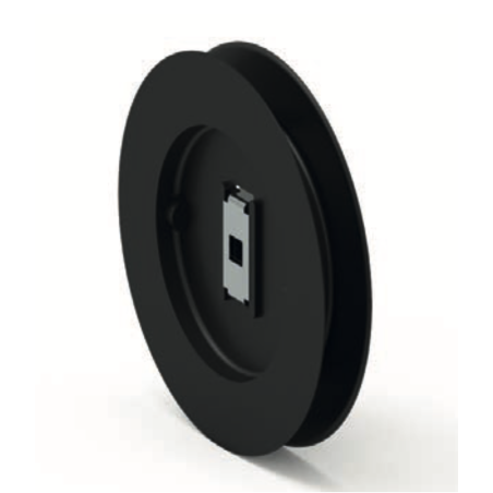 POULIE C8 L19 DIA.A124