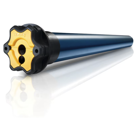 MOTEUR RADIO IO SOMFY OXIMO 10/17