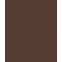 BRAS DE PROJECTION DE 400 À DOUBLE VERROUILLAGE